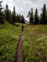 The trail to Citadel Pass.