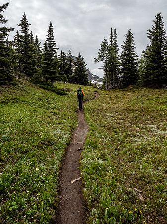 The trail to Citadel Pass.