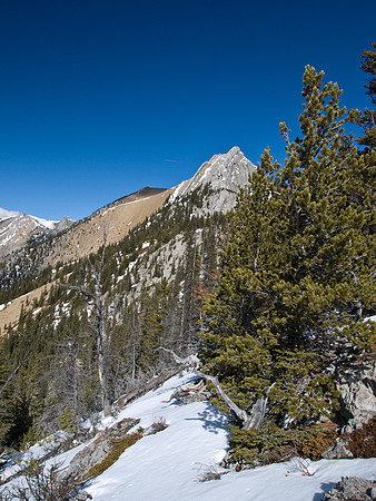 On the south ridge.
