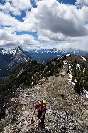 Very brief exposure near the summit.