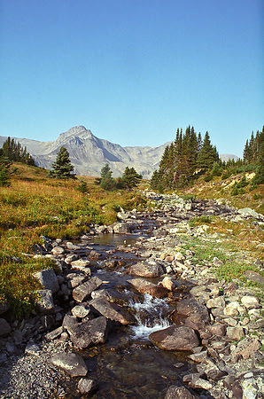 Beautiful, clear streams that I drank straight out of.