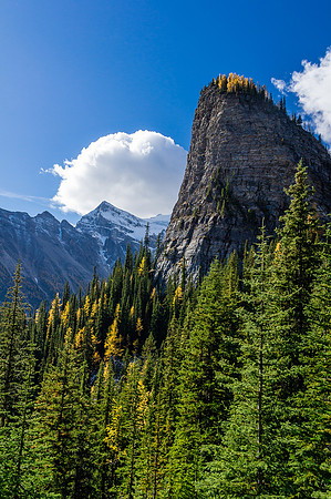 The Beehive.