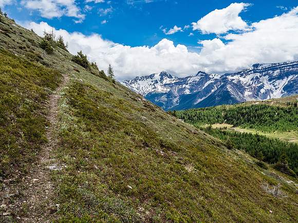 The trail becomes more defined temporarily at the switchbacks. Great views over Citadel Pass at right.