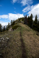 The upper ridge is an excellent route with views in all directions.