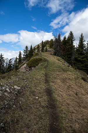 The upper ridge is an excellent route with views in all directions.