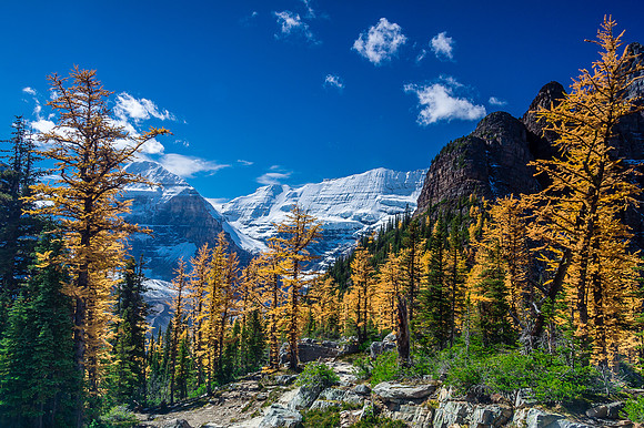Descending to Lake Louise.