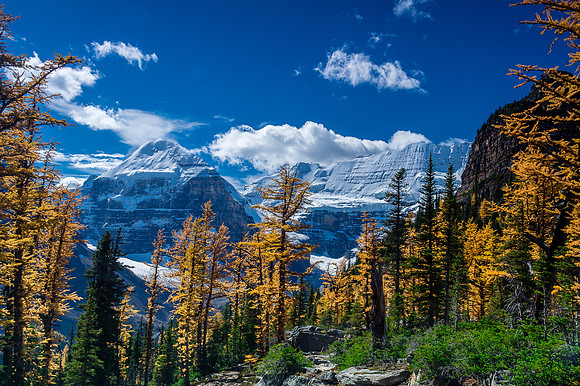 Descending to Lake Louise.