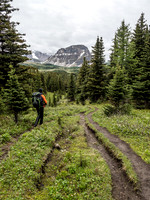 Braided trail past Howard Douglas Lake.