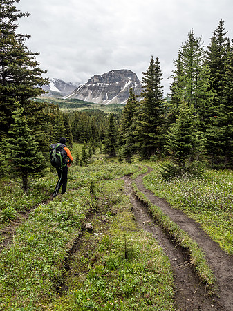 Braided trail past Howard Douglas Lake.