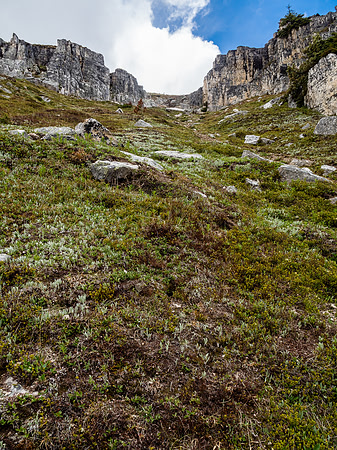Looking back up steep grassy slopes.