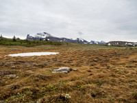 Sunshine Meadows.
