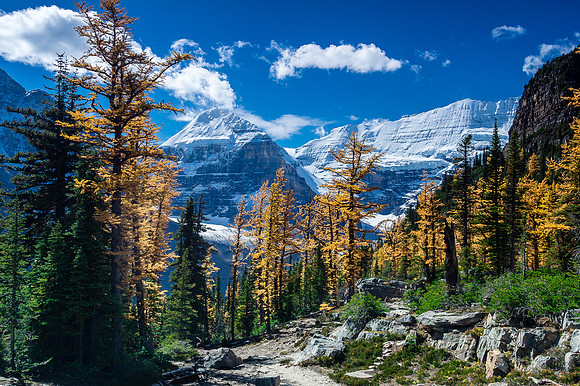 Descending to Lake Louise.