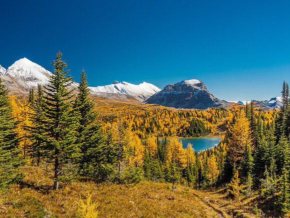 Howard Douglas Lake.