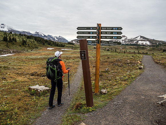 Starting the hike through the Sunshine Meadows.