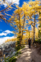 Hiking up the switchbacks to the top of the Beehive.