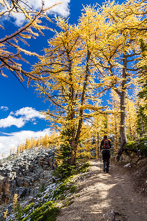 Hiking up the switchbacks to the top of the Beehive.