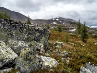 The trail to Citadel Pass.