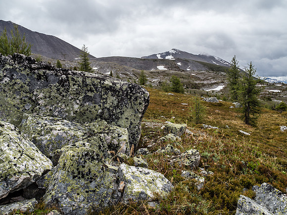 The trail to Citadel Pass.