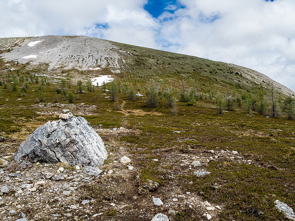 From the Citadel Pass meadows there is barely a defined trail up to Fatigue Pass. Thankfully there's cairns marking the way.