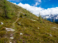 From the Citadel Pass meadows there is barely a defined trail up to Fatigue Pass. Thankfully there's cairns marking the way.