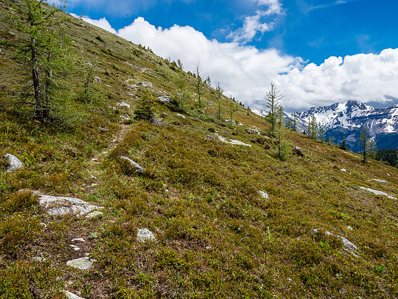 From the Citadel Pass meadows there is barely a defined trail up to Fatigue Pass. Thankfully there's cairns marking the way.
