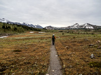 Sunshine Meadows.