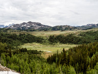 Sunshine Meadows.