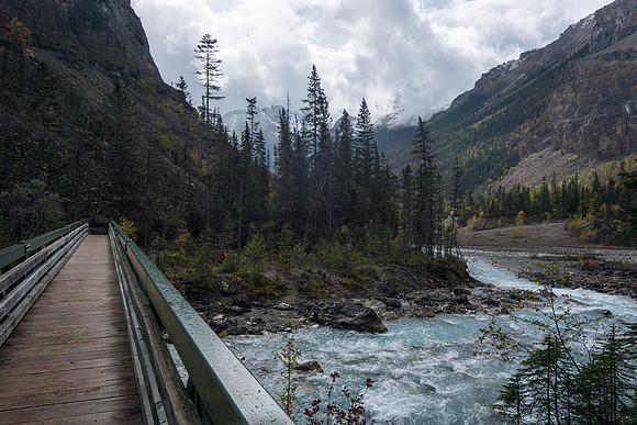 A very sturdy bridge back across the Robson River (this is looking back at my approach) just before a steep climb to the Emperor Falls