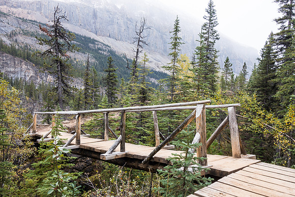 An interesting bridge on the section of trail between Emperor Falls and Falls of the Pool.
