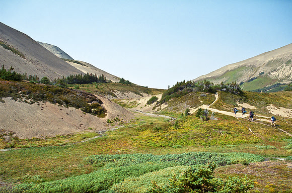 The group keeps hiking, note that we're above tree line now - other than a few pockets of trees.