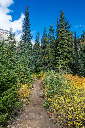 It's getting sunnier as I hike and the fall colors are really coming out as I gain elevation.