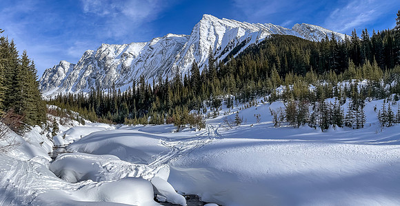 A look back at the creek crossing with Chesmill at right.