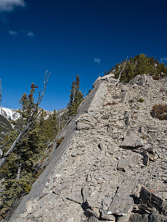 On the south ridge.