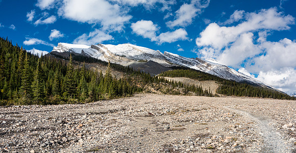 The trail opens up considerably before getting to the Marmot campground - Berg Lake is OOS to the right here.