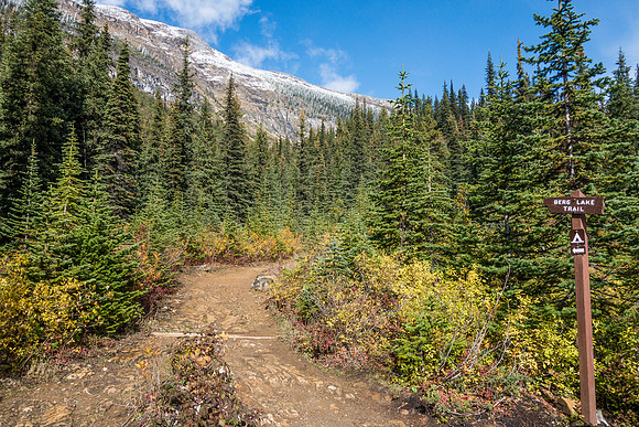 Do I continue or go to the falls? I decided to drop my pack here and head off on a trail to the right to check out the falls.