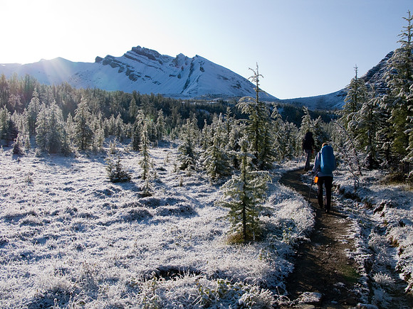 A frozen, white world on the trail up to Wonder Pass.