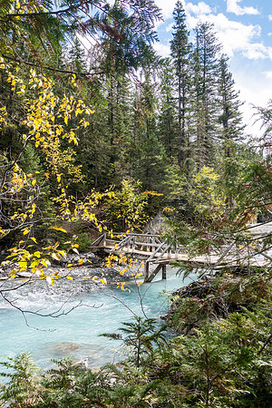 Another bridge crossing of the Robson River at the end of the Kinney Lake flats - after losing height again.