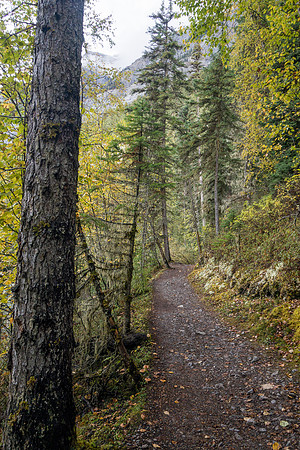 Signs of fall alongside Kinney Lake.