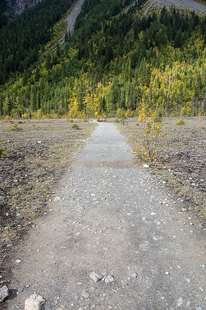 Crossing the river flats at the head of Kinney Lake on my way to the steady uphill hike to the Whitehorn campground.