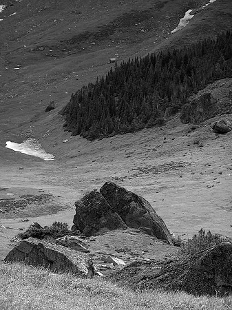 Descending into the lovely valley between Centennial Ridge and Collembola.