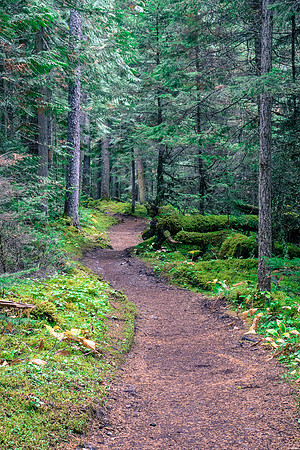 Hiking around Kinney Lake.