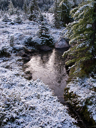 Yep - that's ice on a puddle near the hut!