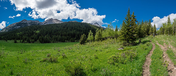 Gunnery, Holy Cross and Head (L to R) in this view from the Grass Pass trail.