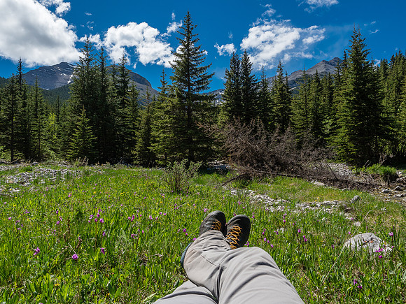 Taking a break at the Grass Pass trail, looking back up the drainage towards Mount Head (not visible) and Holy Cross (L).