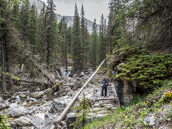 Balancing over deadfall on exit.