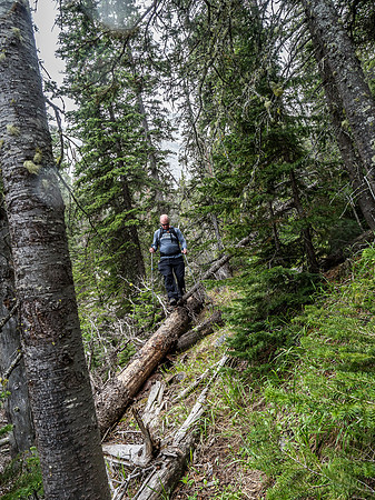 Balancing over deadfall on exit.