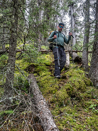 Descending the bushy ridge.