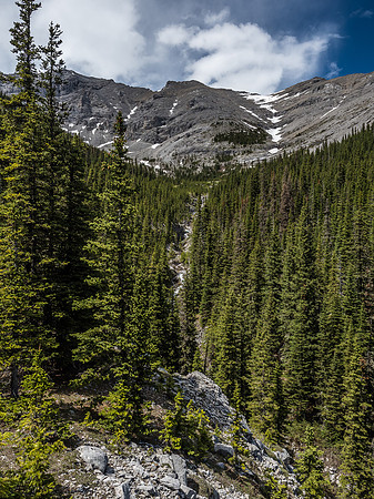 Looking up the creek and SE bowl from the ridge.