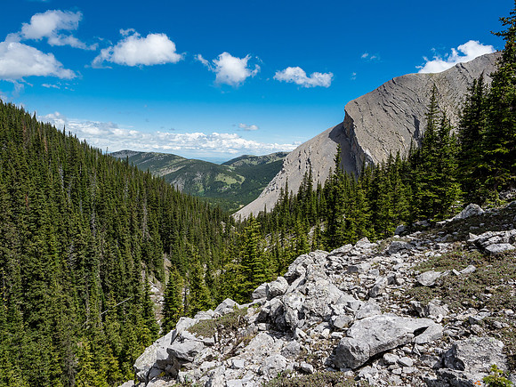 Looking towards our exit and Grass Pass from the busy ridge between drainages.