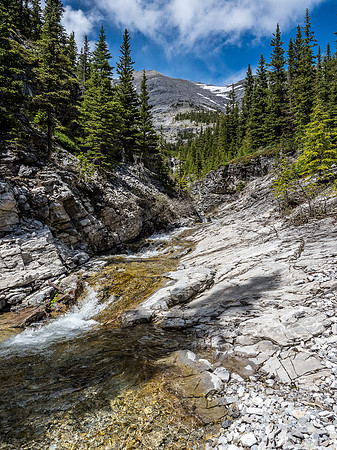 Crossing the creek on return, looking up to the SE bowl and tree island.